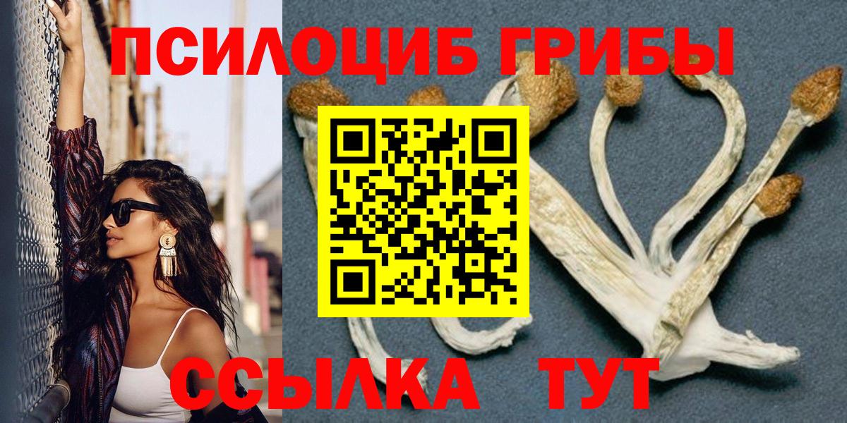 цены наркотик  Вход с VPN  Железноводск  Галлюциногенные грибы Magic Shrooms 
